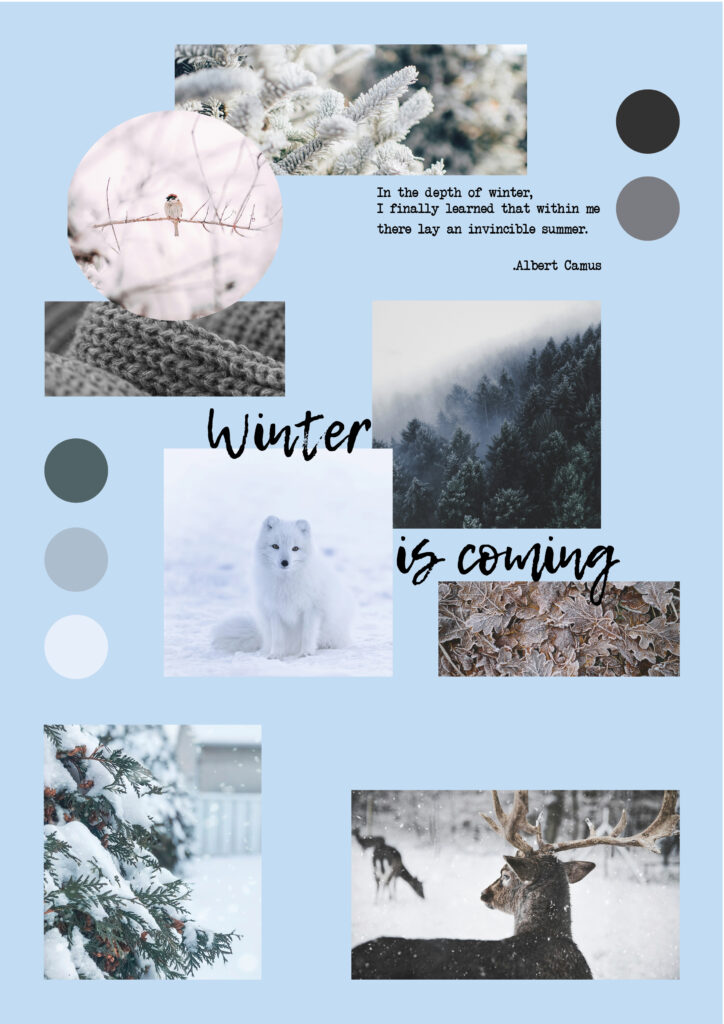 moodboard winter